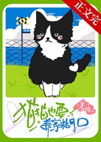 猫猫也要养家糊口